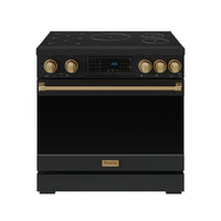 Black professional induction range with bronze trim, front controls, and tilt touch panel