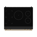 Black induction cooktop top view with four burner circles and bronze base trim