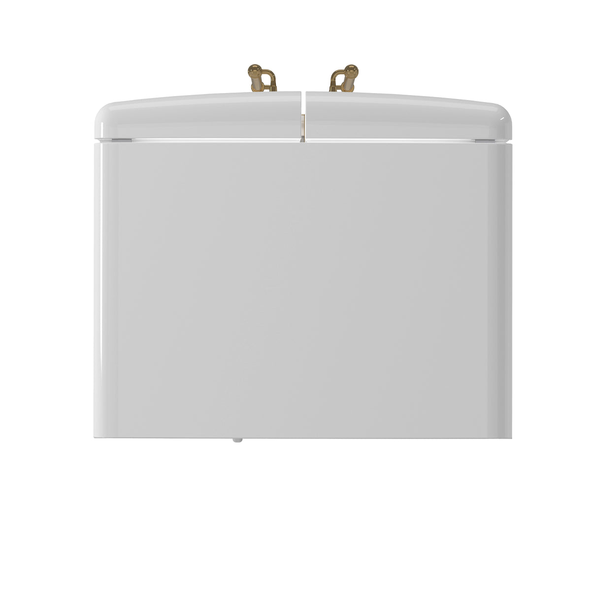 White refrigerator top freezer compartment with two brass handles