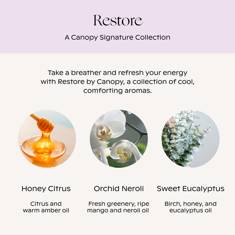 Canopy Restore Aroma Kit With Pure Essential Oils