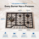 ROBAM G-Series 30-Inch Cooktop with 5 Burners in Stainless Steel (G513)