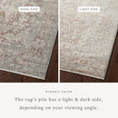 Loloi Runner Rug 2' 6" x 12' in Silver and Natural (SNN-05)