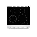 Thor Kitchen 30-Inch Professional Electric Range in Stainless Steel (SRE3001)