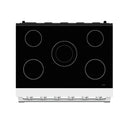 Thor Kitchen 36-Inch Professional Electric Range in Stainless Steel (SRE3601)