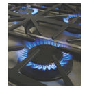 Capital 48-Inch Grand Chef Gas Range in Stainless Steel with 4 Sealed Burners & 24-Inch Open Burner Wok (GSCR484CW)