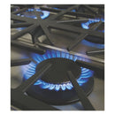 Capital 48-Inch Grand Chef Gas Range in Stainless Steel with 4 Sealed Burners & 24-Inch Grill (GSCR484BB)