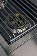 TrueFlame Double Natural Gas Side Burner in Stainless Steel (TFSB2)