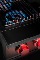 TrueFlame Double Natural Gas Side Burner in Stainless Steel (TFSB2)