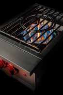 TrueFlame Natural Gas Power Burner in Stainless Steel (TFPB)
