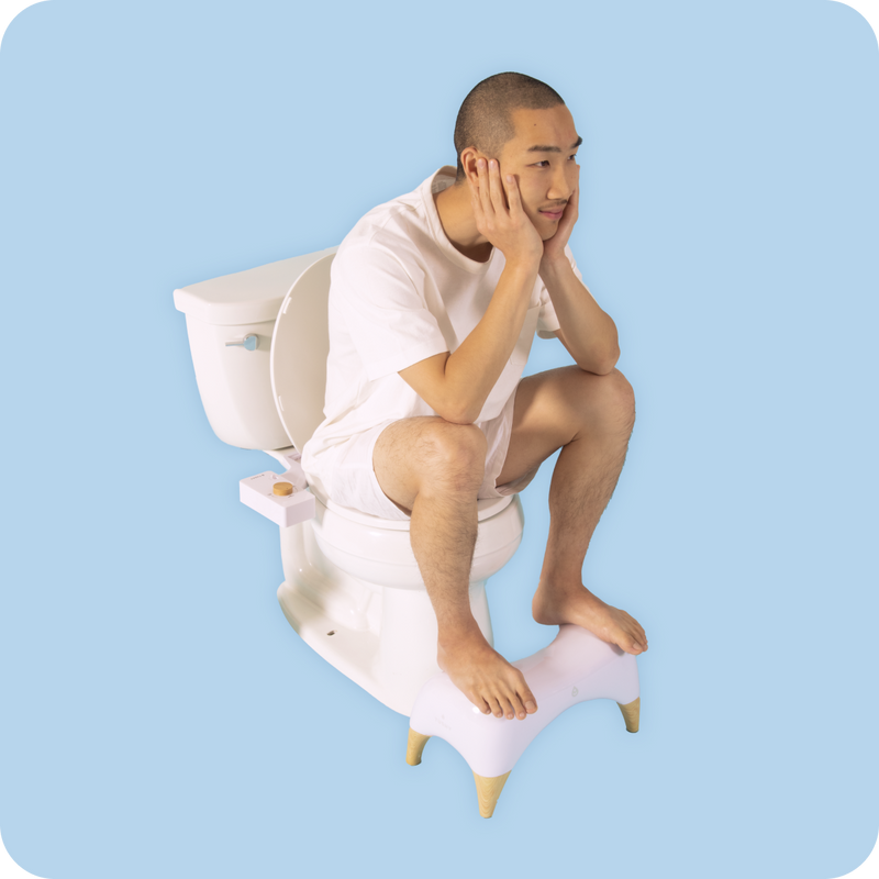 TUSHY Ottoman Toilet Stool