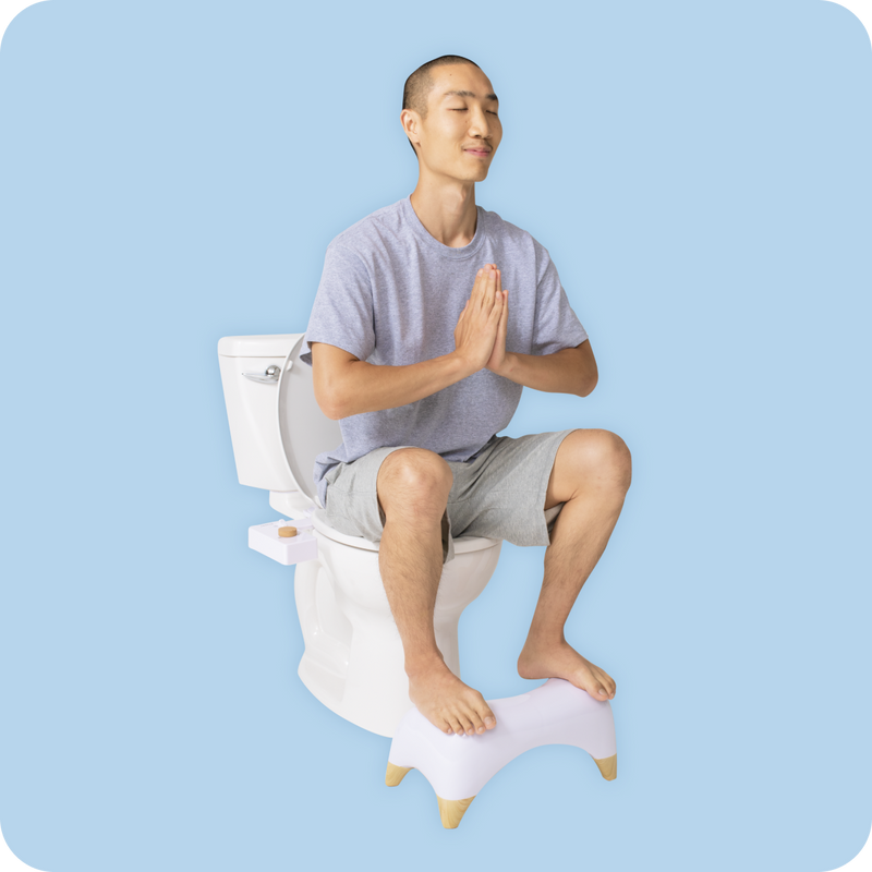 TUSHY Ottoman Toilet Stool