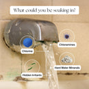 Canopy Bath Tub Filter with Color Changing Temperature Indicator and Protective Spout Cover