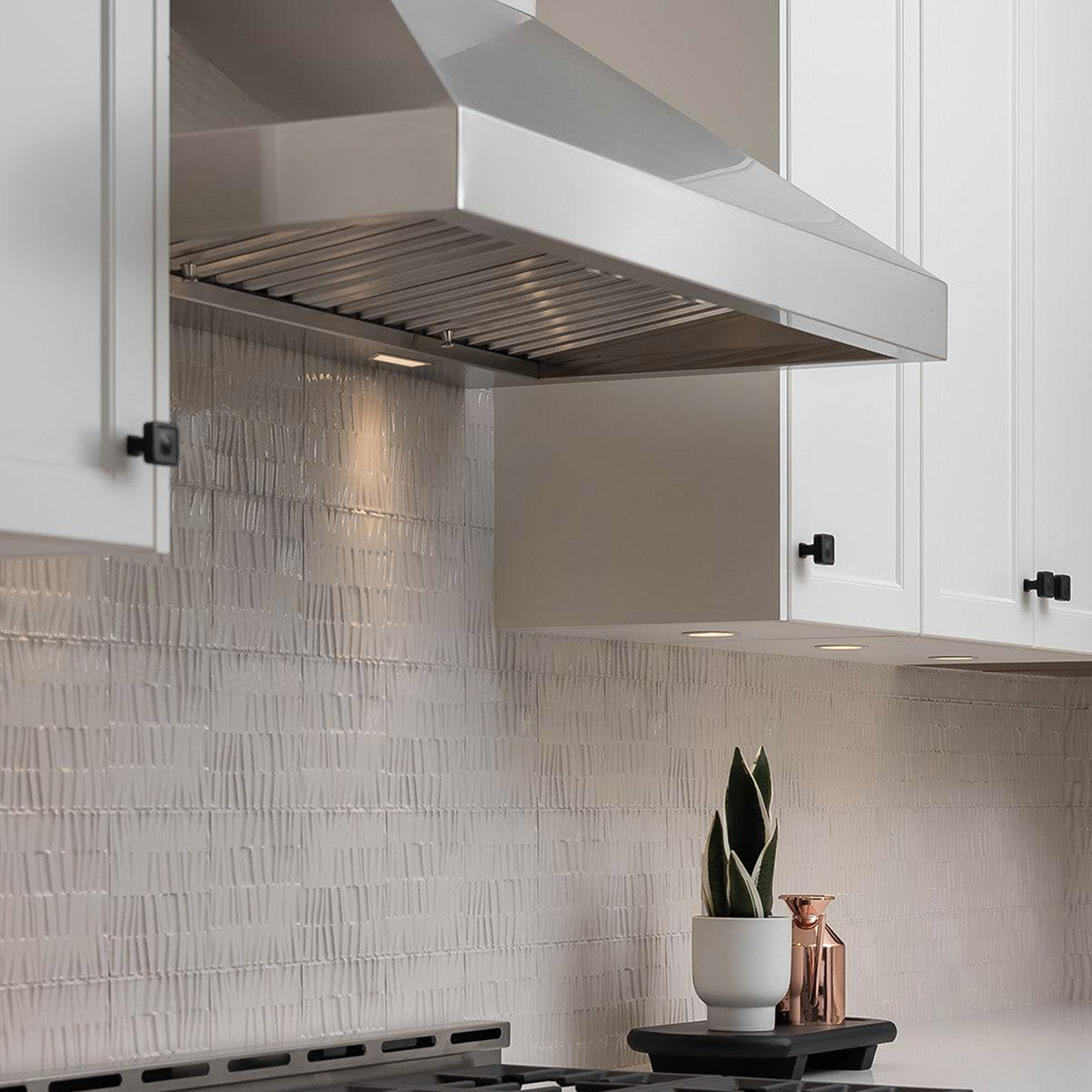 Stainless steel wall range hood with built-in light and visible mesh filters
