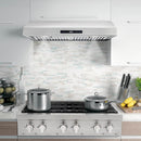 Cosmo 4-Piece Appliance Package - 30-Inch Gas Range, Under Cabinet Range Hood, Dishwasher and Refrigerator in Stainless Steel (COS-4PKG-255)