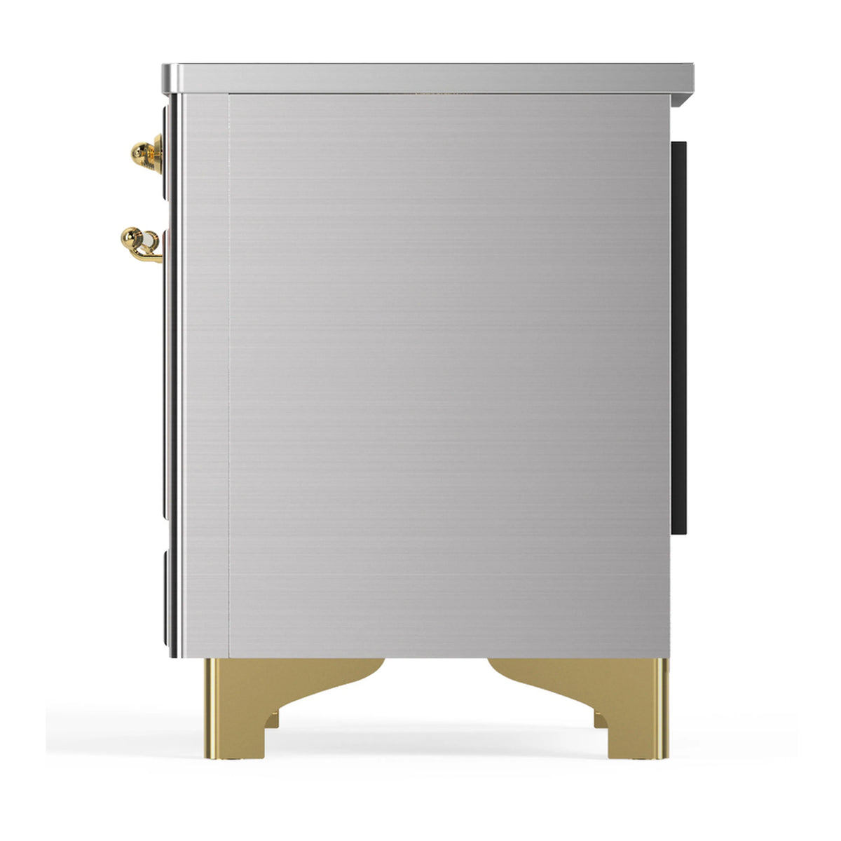 Stainless steel induction range other side view with brass trim and rear handle details.