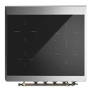 ILVE Majestic III 30-Inch Induction Range with 4 Induction Elements and Solid Door Electric Oven in Burgundy with Burnished Trim (UMIB30QNR3BUB)
