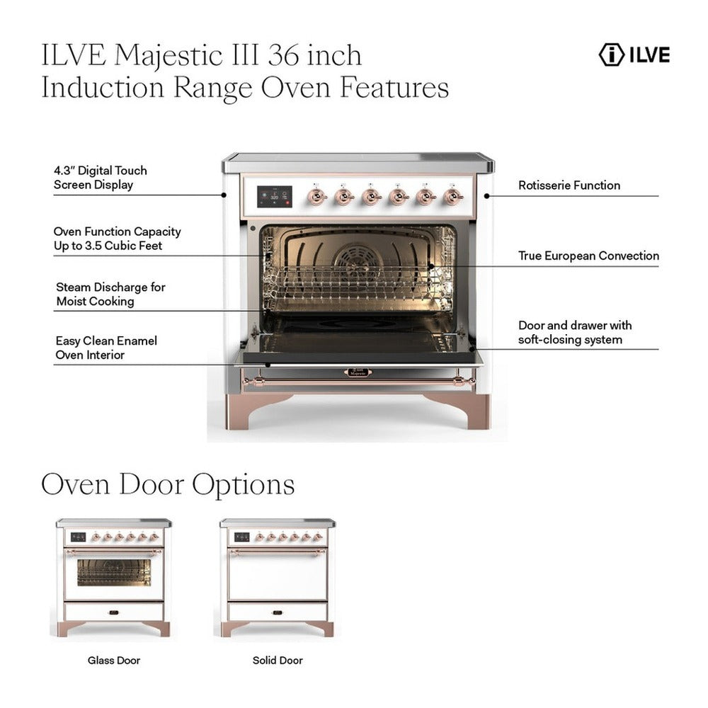 Mint induction oven features diagram with open door, racks, and digital touch display