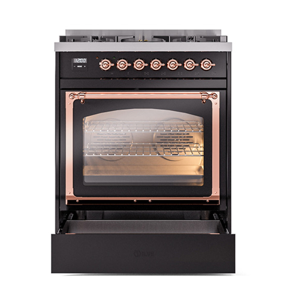 Black triple-glass oven door with copper-trim handle on a dual fuel range