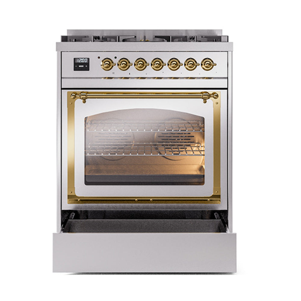 Stainless steel dual fuel range with triple glass oven door and brass trim handle
