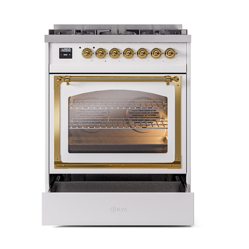 White oven door open on a dual fuel range with brass frame and glass window