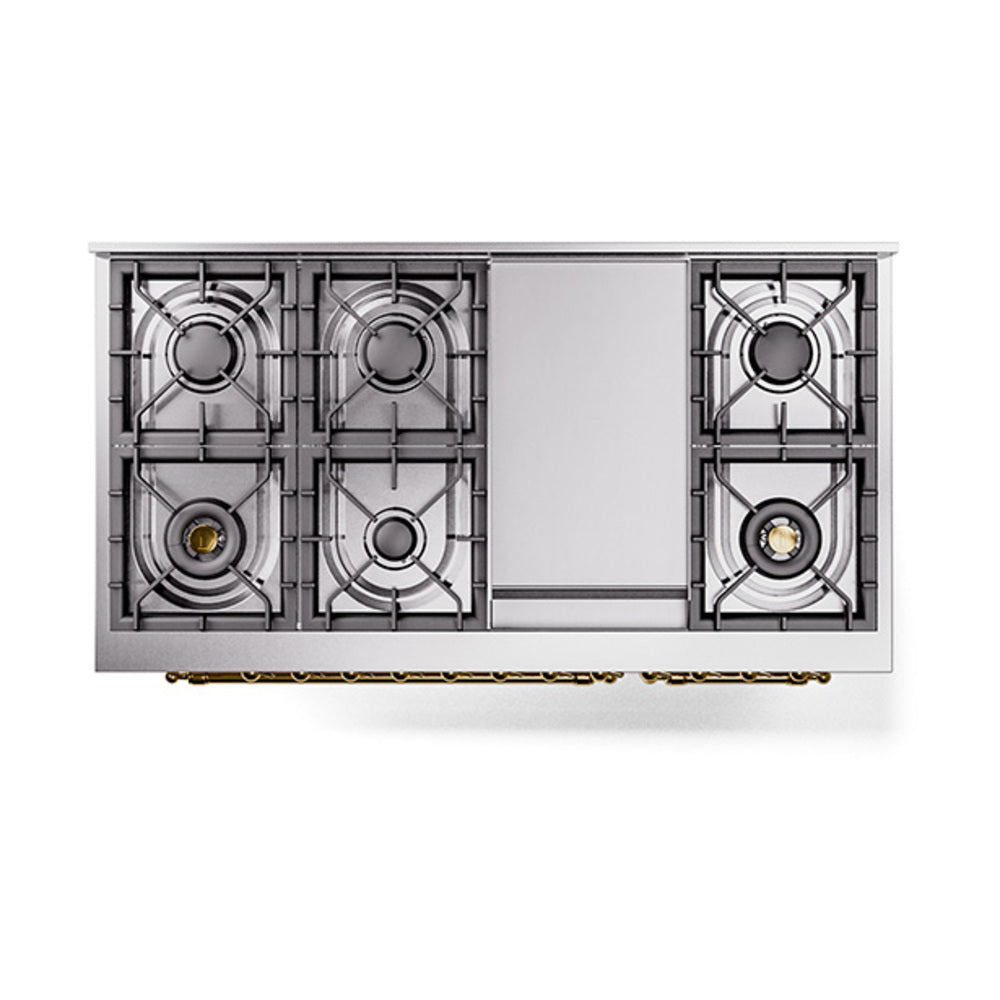 Dual fuel freestanding range rear view with cast-iron burners and antique white paneling.