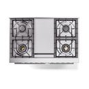 ILVE 40-inch Professional Plus II Natural Gas Dual Fuel Range with Solid Door Oven in Blue Grey (UPD40FQMPBG)