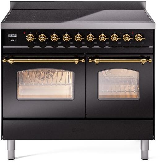 Freestanding electric range front view with brass trim; both oven windows show racks and heating.