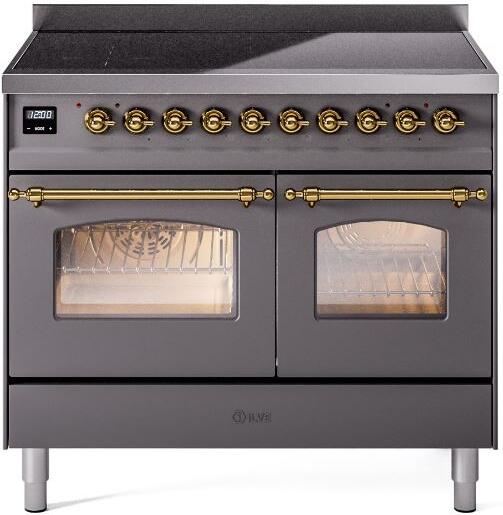 Freestanding electric induction range with matte graphite finish, lit twin oven windows and brass rails