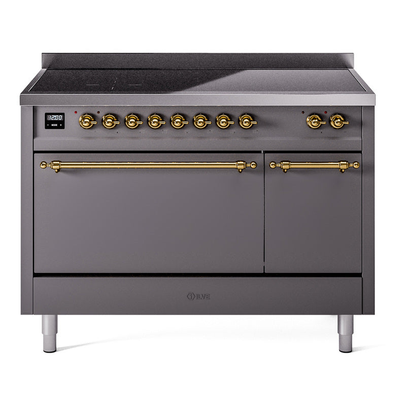 Matte graphite induction range with brass control knobs and two-door oven