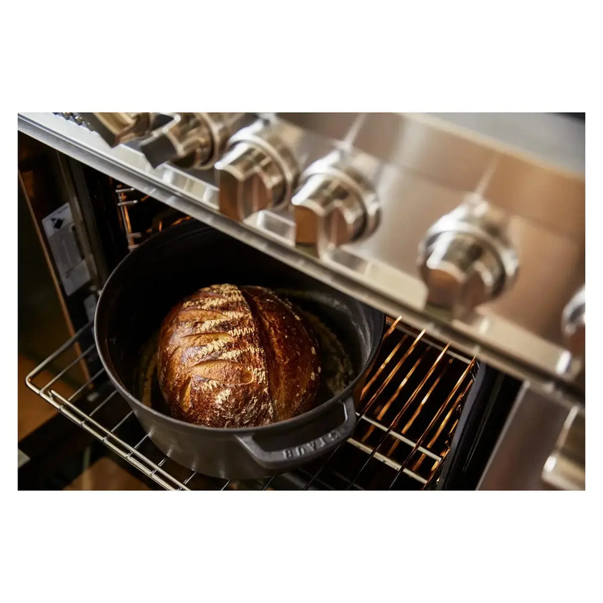 Stainless electric oven with a whole roast chicken on the wire rack