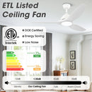 Parrot Uncle 52-Inch Vaczon 3 Blades Ceiling Fan with LED Light and Remote Control