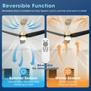 Parrot Uncle Vaczon 42-Inch 3-Blades Modern Ceiling Fan with Remote Control and LED Light