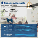 Parrot Uncle Vaczon 42-Inch 3-Blades Modern Ceiling Fan with Remote Control and LED Light