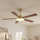 Parrot Uncle Vaczon 52-Inch Double-sided Blades Modern Ceiling Fan with Remote Control and LED Light