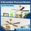 Parrot Uncle Vaczon 52-Inch Double-sided Blades Modern Ceiling Fan with Remote Control and LED Light