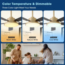 Parrot Uncle Vaczon 52-Inch Double-sided Blades Modern Ceiling Fan with Remote Control and LED Light