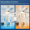 Parrot Uncle Vaczon 52-Inch Double-sided Blades Modern Ceiling Fan with Remote Control and LED Light