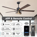 Parrot Uncle Vaczon 52-Inch DC Motor Industrial Downrod Ceiling Fan with Light and Remote Control