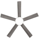 Parrot Uncle Vaczon 48-Inch 5 Blades Industrial DC Motor Ceiling Fan with LED Lighting and Remote Control