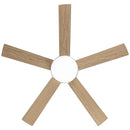Parrot Uncle Vaczon 48-Inch 5 Blades Industrial DC Motor Ceiling Fan with LED Lighting and Remote Control