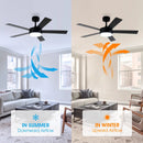 Parrot Uncle Vaczon 48-Inch 5 Blades Industrial DC Motor Ceiling Fan with LED Lighting and Remote Control