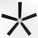 Parrot Uncle Vaczon 52-Inch DC Motor Ceiling Fan with LED Lighting and Remote Control