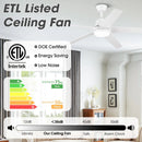 Parrot Uncle 52-Inch Vaczon 5 Blades Ceiling Fan with LED Light and Remote Control
