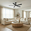 Parrot Uncle Vaczon 52-Inch DC Motor Ceiling Fan with LED Lighting and Remote Control