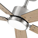 Parrot Uncle Vaczon 52-Inch DC Motor Ceiling Fan with LED Lighting and Remote Control