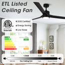 Parrot Uncle Vaczon 60-Inch Industrial Fan with LED Lighting and Remote Control (VZA01B111A)