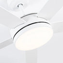 Parrot Uncle Vaczon 48-Inch 5 Blades Industrial DC Motor Ceiling Fan with LED Lighting and Remote Control