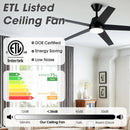 Parrot Uncle 52-Inch Vaczon 5 Blades Ceiling Fan with LED Light and Remote Control