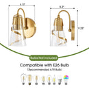 Parrot Uncle 6-Inch Ethel 1-Light Mirror Vanity Light (W3003)