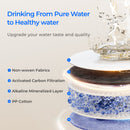 Waterdrop Alkaline Mineral pH+ Filter, Replacement for WD-X8-Alkaline & WD-X12-Alkaline & WD-X12-PRO & WD-X16-Alkaline Reverse Osmosis System, 12-month Lifetime (WD-F1A)